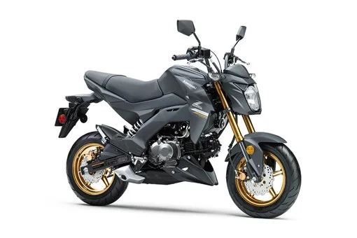Kawasaki Z125 Pro