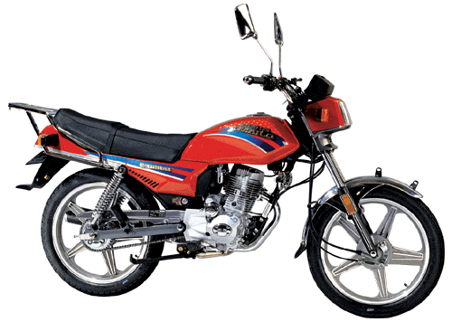 Nipponia NB 125E 2009