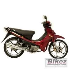 Demak MV 2011