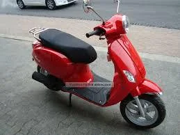 Sachs Bee 2