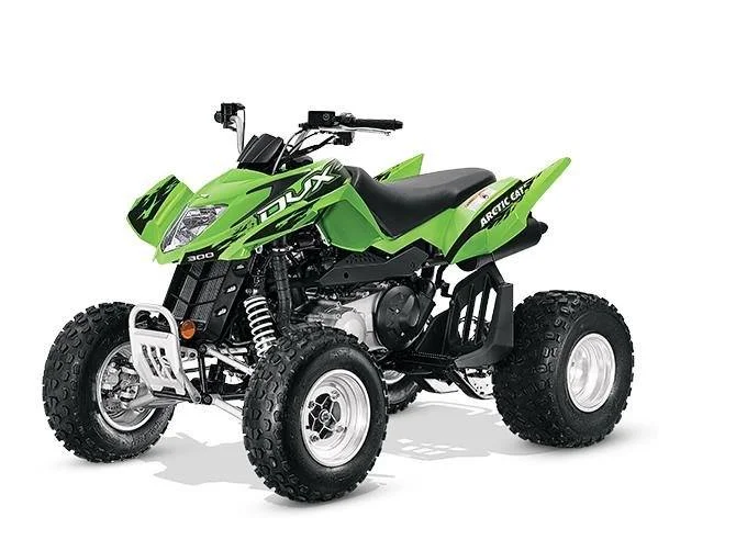 Arctic Cat DVX 300