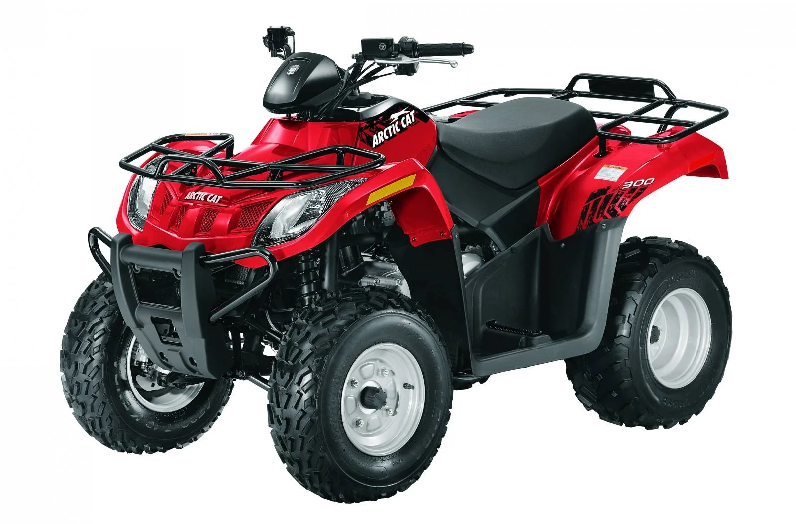 Arctic Cat 300 2010