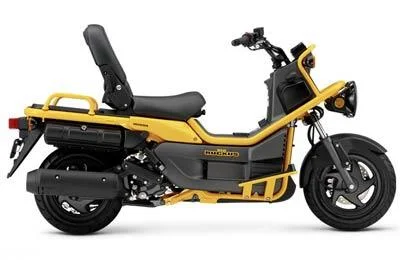 Honda Ruckus 2004