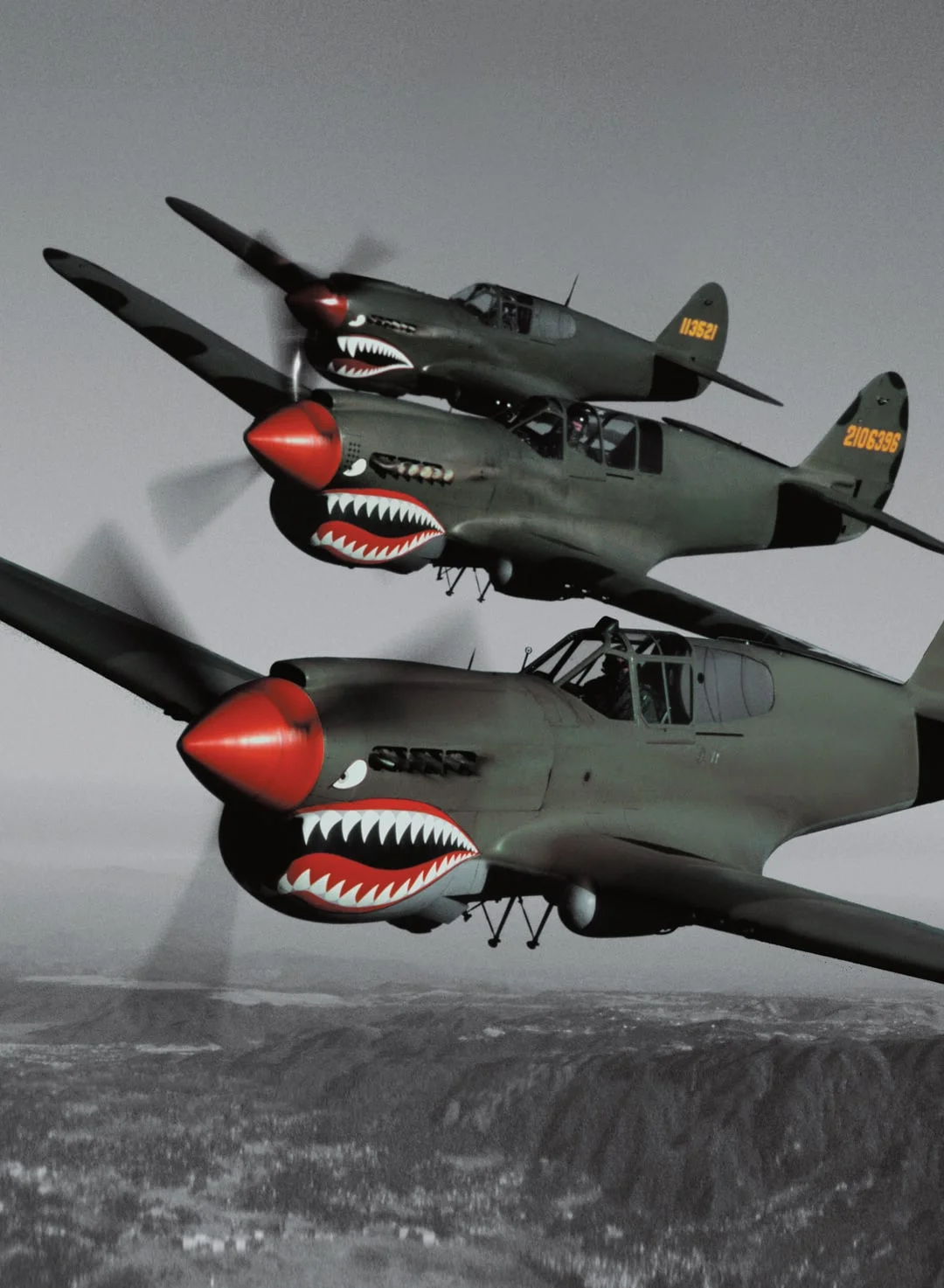 Curtiss Warhawk 2020