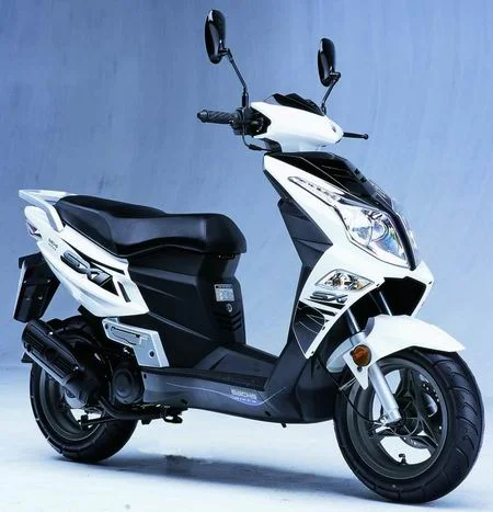 Sachs SX1 2008