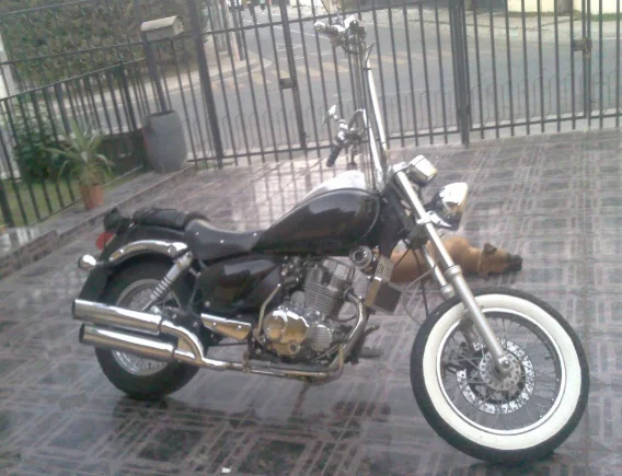 UM Renegade 150 LE