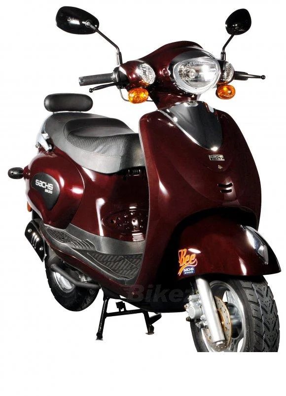 Sachs Bee (funky)