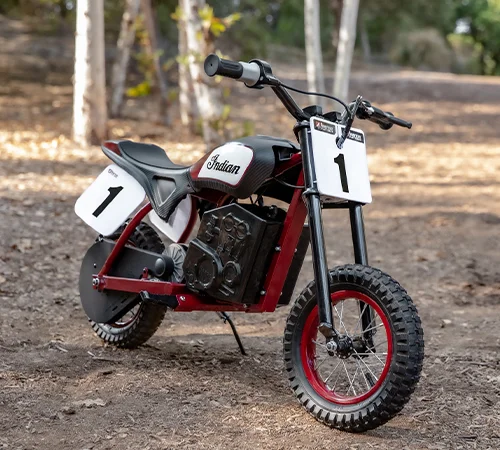 Indian eFTR Mini 2024