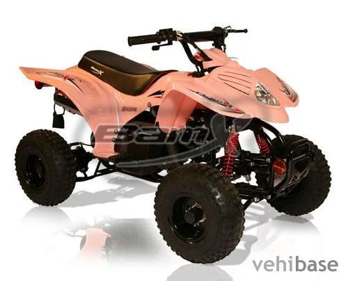 Bam BX50-S Side Kick 2010
