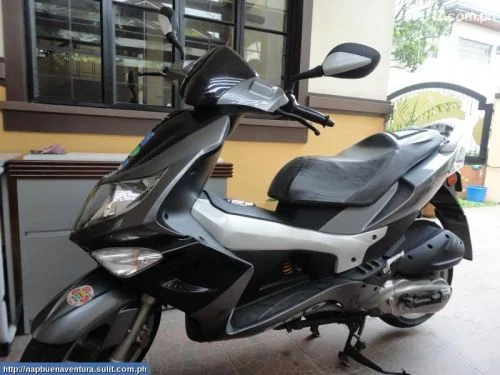 PGO PMX 100