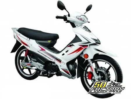 Nipponia Brio 50 2012