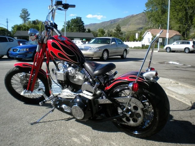 Titan Von Zipper Bobber
