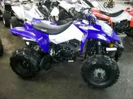Bam BX200-S1 Assault 2010