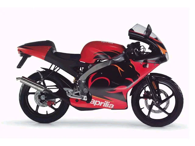 Aprilia Mini RX 50 Experience