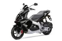 Derbi GP1 125 Racing 2008
