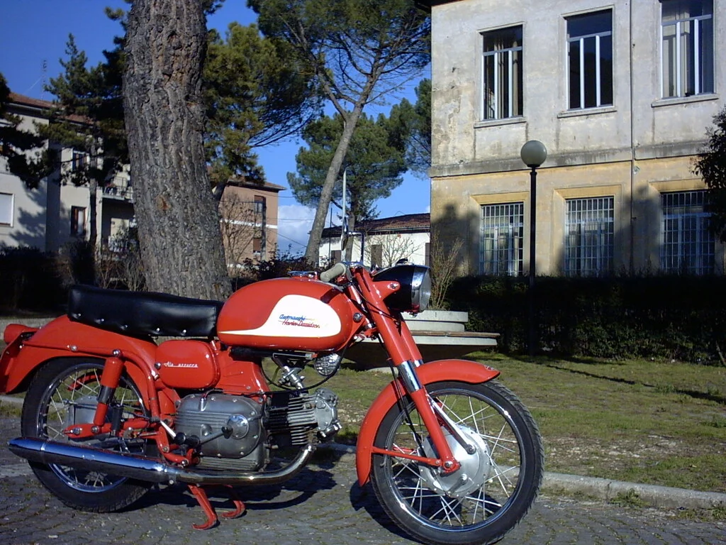 Aermacchi H-D 250 Ala Azzurra 1961
