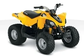 Can-Am DS 70 2010