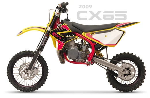 Cobra CX65 2009