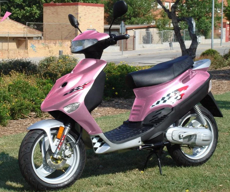 Adly Silver Fox 50 2008