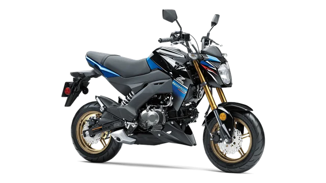 Kawasaki Z125 Pro SE