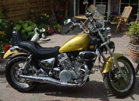 Kawasaki VN 750 Twin