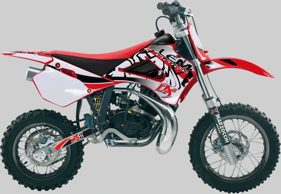 Lem RX2 Racing
