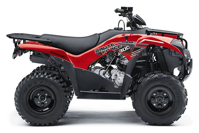 Kawasaki Brute Force 300