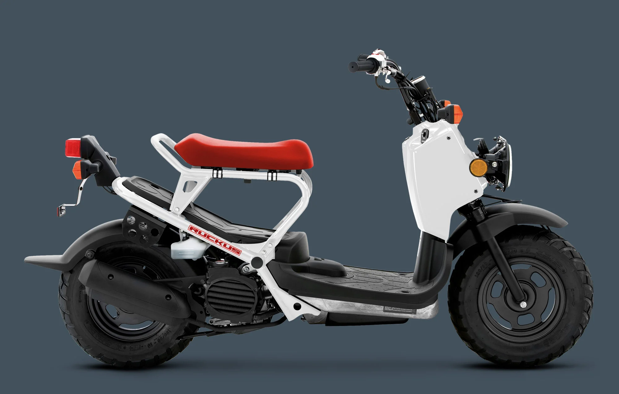 Honda Ruckus
