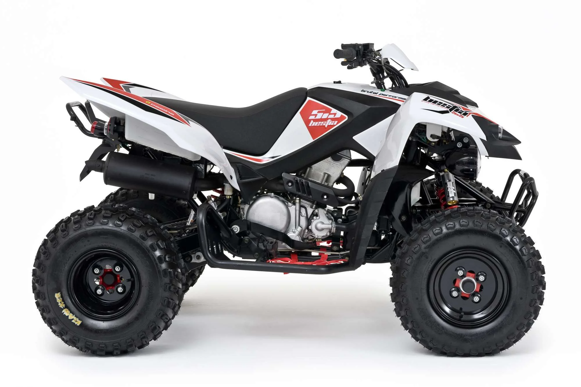 Beeline Bestia 5.5 SM ATV 2016