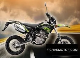 Qlink MT 250 2013