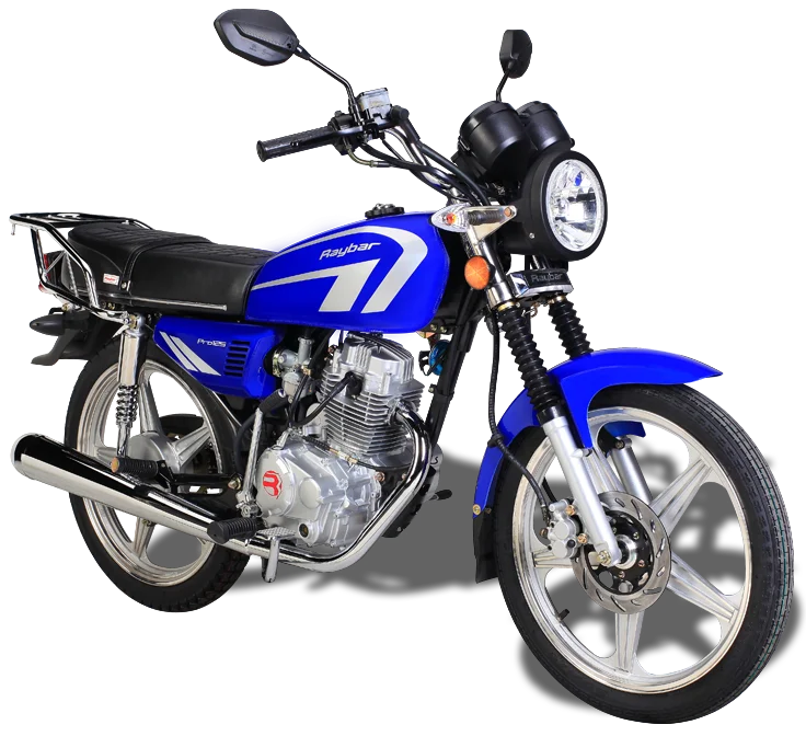 Raybar Pro 125