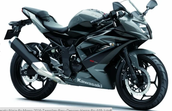 Kawasaki Ninja RR Mono 2016
