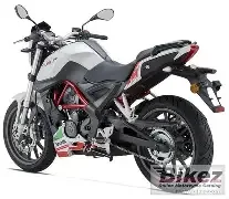 Benelli 25 