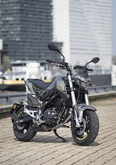 Benelli Naked T 600