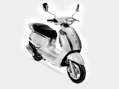 Aspes Vega Hybrid 50