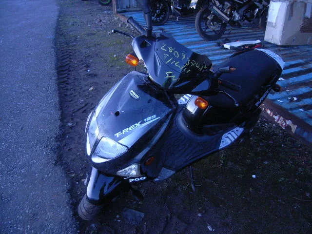 PGO T-Rex 125