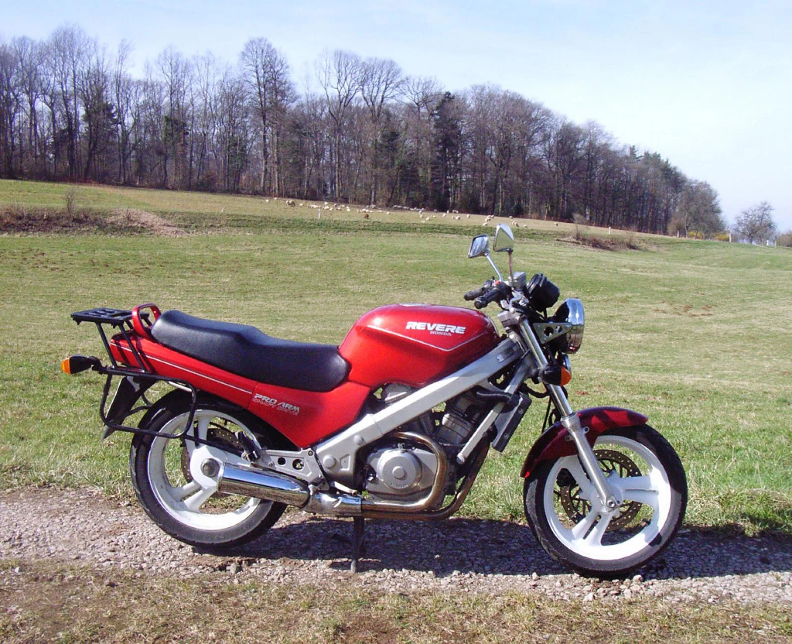Honda NTV 650 Revere (reduced effect #2)