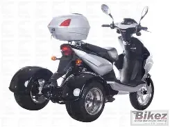 Ice BearMojo 50 Trike 