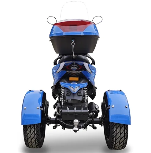 Ice BearMojo Z 50 Trike 