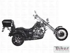 Ice BearRoad Warrrior 250 Trike 