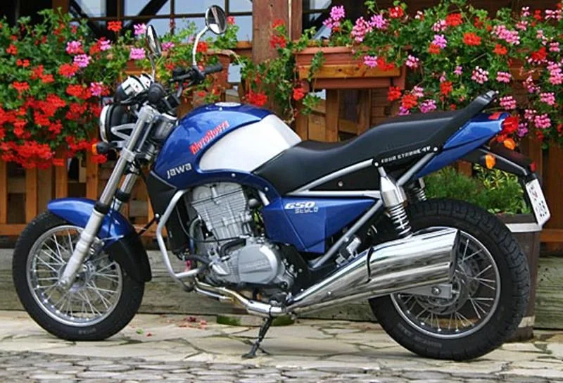 Jawa Bizon