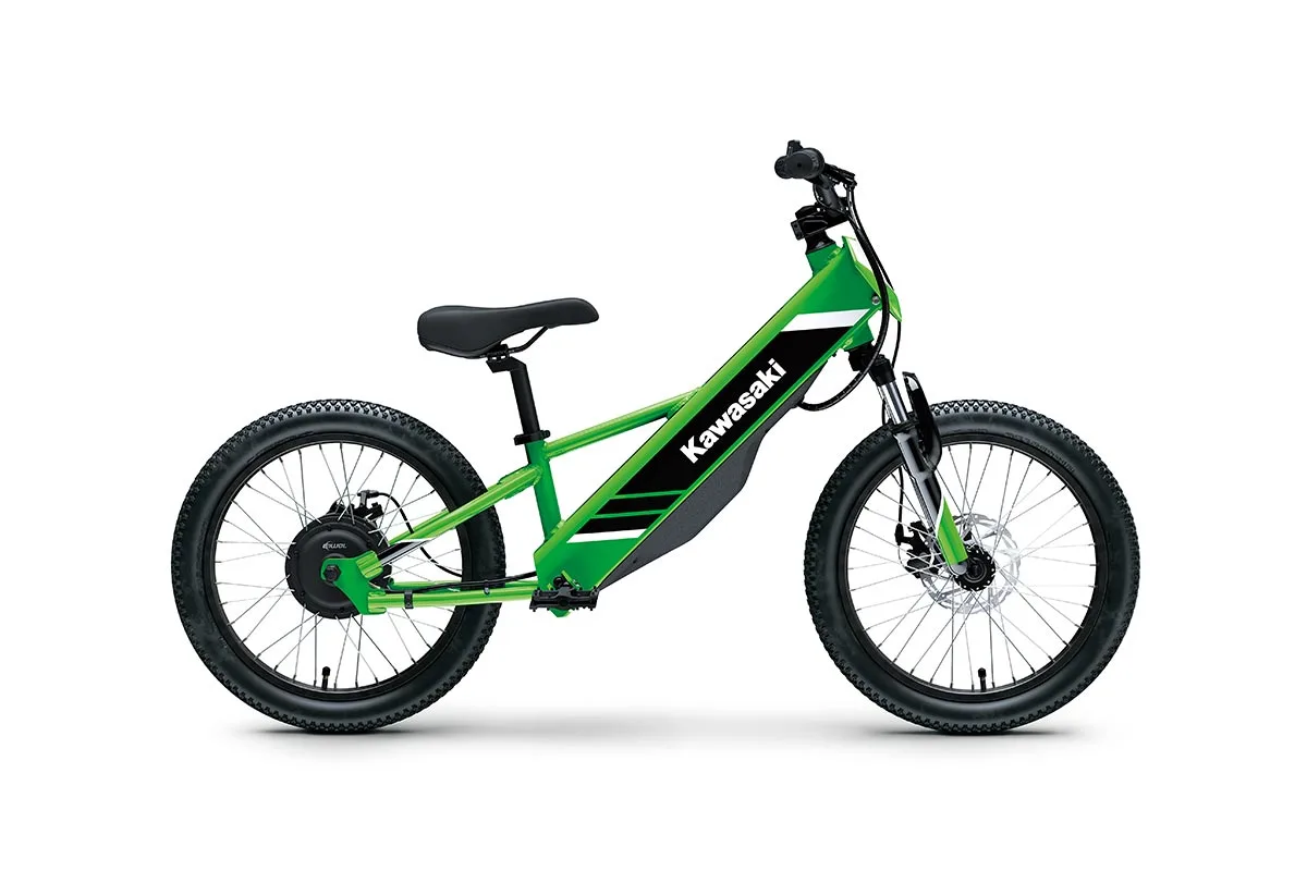 Kawasaki Elektrode 