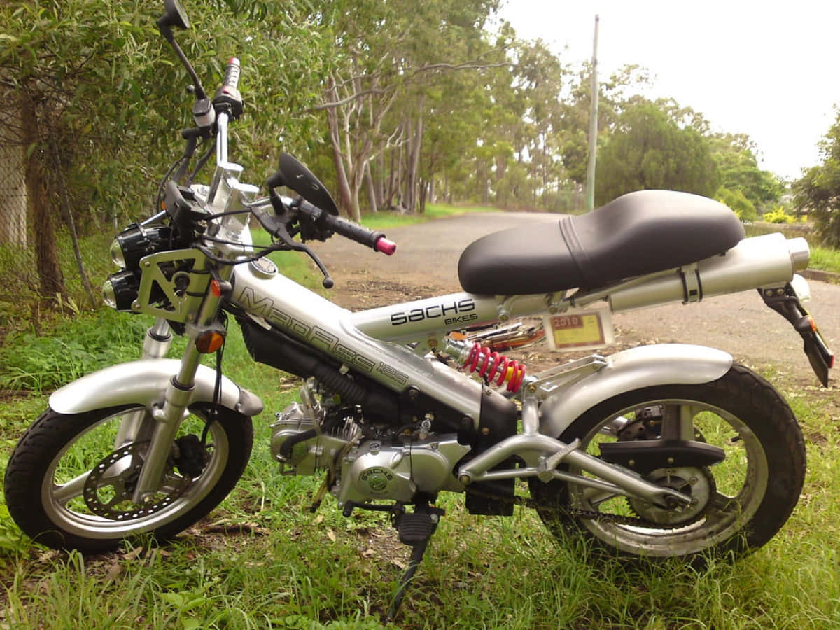 Sachs  