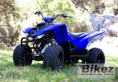 Yamaha YFM 50 