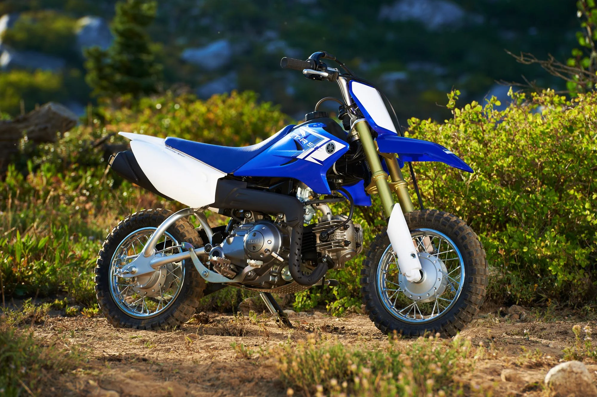 Yamaha TT-R50E