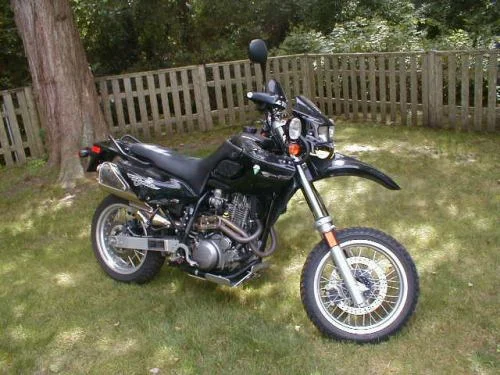 MZ Baghira Black Panther