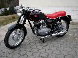 Pannonia T 5