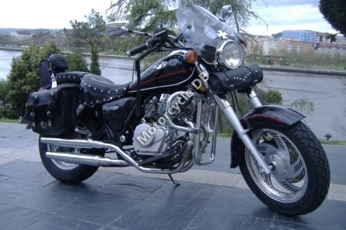 Clipic Custom Guepard 125cc
