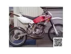 CH Racing WXE 50 2008