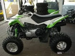 Arctic Cat 300